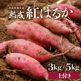 【ふるさと納税】【入手困難・数量限定】大谷原の熟成さつまいも (土付き) 【選べる内容量：3kg / 5kg】【サツマイモ 芋 イモ 紅はるか べにはるか 熟成 甘い おいしい 焼き芋 国産 産地直送】