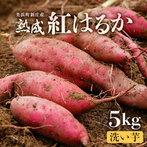 yӂ邳Ɣ[Łzys\zJ̏n܂ (􂢈) yIׂeʁF3kg / 5kgzy2025N10{ȍ~\zy荢EʌzyTc}C  C g͂邩 ׂ