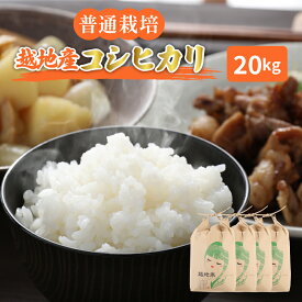 【ふるさと納税】令和5年 米 越地（こいち）産 コシヒカリ（普通栽培）計20kg（5kg × 4袋） [m24-c001]