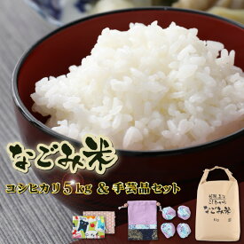【ふるさと納税】令和8年産「なごみ米」コシヒカリ5kg手製マスク&巾着&お手玉セット