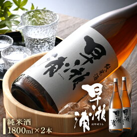 【ふるさと納税】早瀬浦 純米酒 1800ml × 2本【入手困難 日本酒 就職祝い 転職祝い ハレの日 ギフト プレゼント お祝い お返し お礼 お中元 お歳暮 父の日 敬老の日】 [m06-b001]