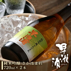 【ふるさと納税】早瀬浦 純米吟醸 さかほまれ 720ml × 2本【入手困難 日本酒 就職祝い 転職祝い ハレの日 ギフト プレゼント お祝い お返し お礼 お中元 お歳暮 父の日 敬老の日】 [m06-a007]
