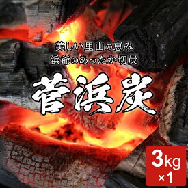 【ふるさと納税】菅浜炭（木炭） 3kg [m31-a001]