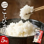 【先行予約】【令和6年産・新米】米 コシヒカリ 5kg × 1袋 精米 福井県美浜町産【2024年9月下旬発送予定】 【単発便（月選択可）または定期便】 [m60-a012]