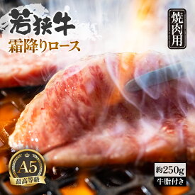 【ふるさと納税】肉 A5若狭牛 霜降りロース 焼肉用 約250g 牛脂付き 黒毛 和牛 黒毛和種 【ブランド 和牛 わかさ 福井 焼き肉 しもふり スライス 冷凍 アウトドア キャンプ バーベキュー BBQ お家焼肉 家飲み ご褒美 贅沢】 [m54-a002]