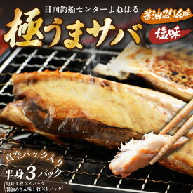【ふるさと納税】干物 鯖一夜干し 極うまサバ 半身3パック （塩味1枚×2パック 醤油みりん味1枚×1パック）【福井 天然 さば ひもの 日用 使い 冷凍 小分け 個包装 真空パック ご飯のお供 酒の肴 食べ比べ セット】お買い物マラソン 買い回り [m17-a080]
