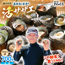 【ふるさと納税】若狭湾の素潜り 天然 活サザエ 合計700g (6〜10個) 説明書付き【サザエ さざえ 貝 天然 海産物 刺身 お造り 海の幸 BBQ つぼ焼き 壺焼き 佃煮 海鮮 魚介】 [m17-a047]