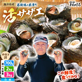 【ふるさと納税】若狭湾の素潜り 天然 活サザエ 【選べる内容量：700g / 2kg / 3kg】説明書付き【サザエ さざえ 貝 天然 海産物 刺身 お造り 海の幸 BBQ つぼ焼き 壺焼き 佃煮 海鮮 魚介】