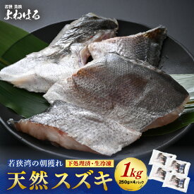 【ふるさと納税】若狭湾の朝獲れ 天然 スズキ 約1kg (約250g×4パック) 下処理済!生冷凍!だから人気!【 鮮魚 魚介類 海鮮 下処理 小分け 冷凍 切り身 簡単調理 手軽 白身 焼き物 煮つけ 鍋 】[m17-a071]