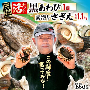 yӂ邳Ɣ[Łzys\z{Cዷp̑f VR Ar TCY 1  TUG 1.1kg yIׂ锭zy2025N11{ȍ~\z Ar  NAr 