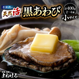 yӂ邳Ɣ[Łzys\zVR Ar v400gi2`4jyIׂ锭zy2025N11ȍ~\z荢 {Cዷp NxQ hg  o^[Ă BBQ  Ar 