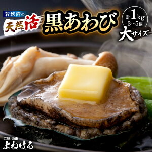 yӂ邳Ɣ[Łzys\zVR Ar v1kg (3`5) TCY yIׂ锭zy2025N11ȍ~\z荢 {Cዷp NxQ hg  o^[Ă BBQ  