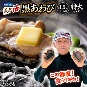 【ふるさと納税】【先行予約】天然 活黒アワビ 計1.5kg (2〜5個) 特大サイズ 【選べる発送月】【2025年11月以降順次発送予定】入手困難 日本海若狭湾 鮮度抜群 刺身 お造り バター焼き BBQ あ