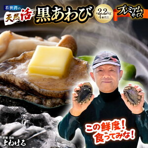 yӂ邳Ɣ[Łzys\zVR Ar v2.2kgi4ȏjv~ATCYyIׂ锭zy2025N11ȍ~\z ʌ 荢 {C NxQ hg  BBQ o[