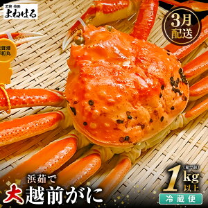 yӂ邳Ɣ[Łzys\zl䥂Ł VR zO TCY (䥂őO1kg) × 1t ① ͂Ăオ肢܂I ^Ot \~̖o y2026N3{ȍ~