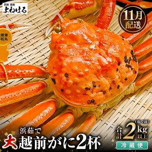 yӂ邳Ɣ[Łzys\zl䥂Ł VR zO TCY (䥂őO1kg) × 2t ① ͂Ăオ肢܂I ^Ot \~̖oy2025N11{ȍ~