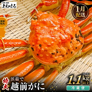 yӂ邳Ɣ[Łzys\zVR zO  (䥂őO1.1`1.3kg) × 1t ① {C ͂Ăオ\I ^Ot \~̖oIy2026N1{ȍ~\z