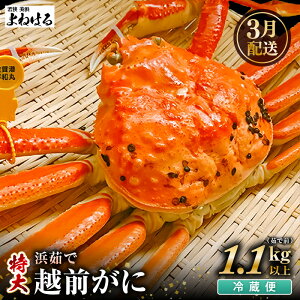 yӂ邳Ɣ[Łzys\zVR zO  (䥂őO1.1`1.3kg) × 1t ① {C ͂Ăオ\I ^Ot \~̖oIy2026N3{ȍ~\z