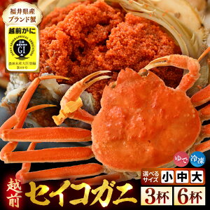 �y�ӂ邳�Ɣ[�Łz�y���Ԍ���z�y�Ⓚ�z �~�̖��o �{�I�Z�C�R�K�j �i�z�O���Ɂj�y�I�ׂ�t���E�T�C�Y�z �H�ו��������t �y �C�N ���� �I �J�j �Y���C�K�j ���������� �������I �Z�C�R�I �z