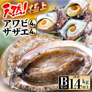 yӂ邳Ɣ[Łzys\zyԌzVRIɏ Ar  TUG ZbgBy2025N11{ȍ~\zy荢 Yn hg   o^[Ă BBQ   TU