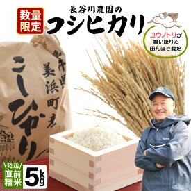 【ふるさと納税】【令和7年産・新米】長谷川農園の コシヒカリ 白米 5kg 【お米 こしひかり 5キロ 精米 ブランド米 ふるさと納税米 産地直送】