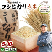 楽天市場】玄米 30kg（産地（都道府県）福井）（米・雑穀｜食品）の通販