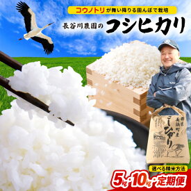 【ふるさと納税】【令和8年産】コシヒカリ 米 定期便 長谷川農園のコシヒカリ 【選べる内容量 ／精米具合／発送回数】【お米 こしひかり 5キロ 10キロ 精米 人気 ブランド米 毎月お届け 回数選択 定期配送 選べる 家庭用 送料無料 国産 産地直送 福井県 美浜町】