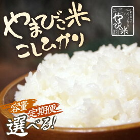 【ふるさと納税】【先行予約】【令和8年産・新米】米 コシヒカリ 新庄やまびこ米（白米）【選べる内容量/配送月：5kg/10kg/20kg】【単品・定期便】【2026年10月以降順次発送予定】お米定期便 特A こめ コメ おこめ こしひかり 5キロ 10キロ 定期便 おすすめ 産地直送