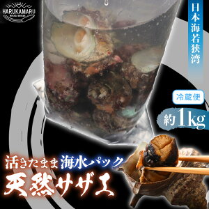 yӂ邳Ɣ[Łz{Cዷp y܂ܓVRTUG1kgz CpbNɂĂ͂IyTUG L   CN CY  h  hg Ă ڏĂ o[xL[ BBQ Yz