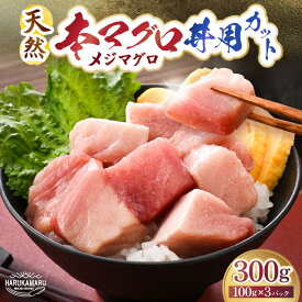 【ふるさと納税】天然本マグロ 丼用カット300g（100g×3）【マグロ まぐろ 鮪 メジマグロ 本マグロ 刺身 まぐろたたき 赤身 海鮮 海鮮丼 国産】