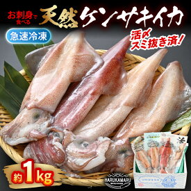 【ふるさと納税】【先行予約】お刺身で食べる 天然 ケンサキイカ 約1kg 活きたイカをご提供している漁師が活〆！【2026年5月中旬以降順次発送予定】入手困難 急速冷凍 鮮度格別！ 若狭湾 福井 地物 活イカ お買い物マラソン 買い回り [m36-b004]