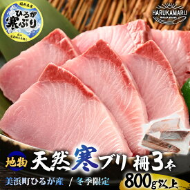【ふるさと納税】【先行予約】天然！地物！ひるがの寒ぶり 柵3本【合計800g以上】【2027年1月中旬以降順次発送予定】【ブランド 寒ブリ 寒鰤 かんぶり ぶり ブリ 鰤 ブリトロ ぶりとろ 新鮮 生食 刺身 海鮮丼 ぶりしゃぶ 日向 福井 冬の味覚 海鮮 冷凍 プレゼント】