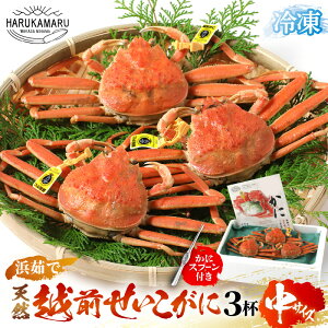 yӂ邳Ɣ[Łzys\z͂邩یIIl䥂Ł zO  TCY 150g × 3tyⓀzɃXv[ty2025N11{ȍ~\zy}Ⓚ ZCRKj ZRK