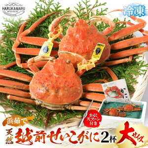 yӂ邳Ɣ[Łzys\z͂邩یIIl䥂Ł zO  TCY 200g × 2tyⓀzɃXv[ty2025N11{ȍ~\zy}Ⓚ ZCRKj ZRK