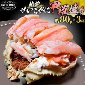 yӂ邳Ɣ[Łzys\zɁizOɁj b v240g (80g × 3t) TCY yⓀzy2025N11{ȍ~\zyYCKj  zO  I 