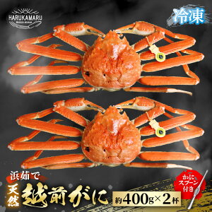 yӂ邳Ɣ[Łzys\z͂邩یIIl䥂Ł zO 400g × 2t yⓀz(JjXv[t) y2025N11{ȍ~\zy}Ⓚ {C zOKj I 䥂 킢