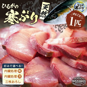 yӂ邳Ɣ[Łzys\zVR Ԃ 1{ (8`9kg) ዷp Ђ邪̊ԂyIׂ鏈@zy2025N12{ȍ~\zyuh Ε  Mtg v[g u 