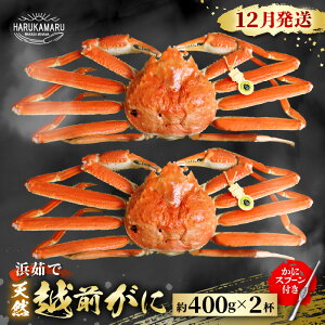 yӂ邳Ɣ[Łzys\zl䥂Ł nIVRI͂邩یIIzO 400g × 2ty2025N12{ȍ~\z