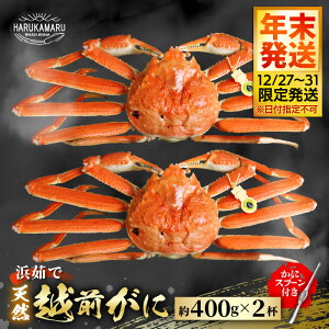 yӂ邳Ɣ[Łzys\zl䥂Ł nIVRI͂邩یIIzO 400g × 2tyN12/27`12/31蔭Izy① {̖ {C zOKj I 䥂 킢 YCK