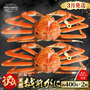 yӂ邳Ɣ[Łzys\zl䥂Ł nIVRI͂邩یIIh󂠂hzO 400g × 2ty2026N3{ȍ~\z