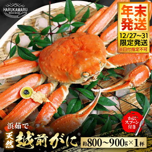 yӂ邳Ɣ[Łzys\zl䥂Ł nIVRIzO ̏ԂŖ800g`900g × 1t ɃXv[tyN12/27`12/31蔭Izy① {̖ {C zOKj I 䥂 