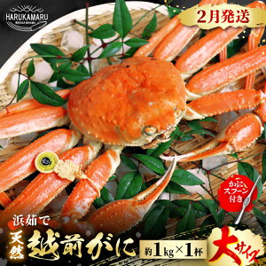 yӂ邳Ɣ[Łzys\z͂邩یIIl䥂Ł zO TCY 1kg × 1tyⓀzɃXv[ty2025N11{ȍ~\zy}Ⓚ {̖ {C zOKj 