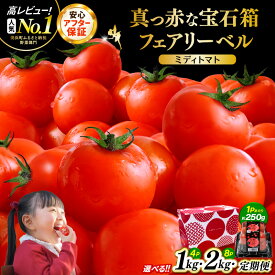 【ふるさと納税】野菜 じゅわっと極旨のフルーツミディトマト【選べる容量／回数】【 とまと トマト 新鮮野菜 やさい フルーツトマト ミニトマト トマトジュース サラダ 人気 新鮮 産地直送 甘い 高糖度 完熟 リコピン ビタミン ダイエット 美容 美肌 健康 食べやすい 】