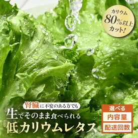 【ふるさと納税】毎日の健康習慣に やさしい低カリウム レタス JOIA（ジョイア） 約65g×5パック【選べる内容量／回数／訳あり】【栽培期間中農薬不使用 洗わず食べられる 無洗 訳アリ 無農薬 野菜 生野菜 機能性野菜 レタス サラダ お弁当 水耕栽培 時短 健康 透析 腎臓病】