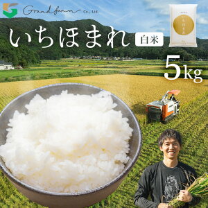 yӂ邳Ɣ[Łzys\zߘa7NY V ق܂  5kg y2025N11{ȍ~\z 䌧 lY   R   5L 10L 