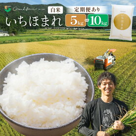 【ふるさと納税】令和8年産 新米 いちほまれ 白米 【選べる内容量：5kg/10kg】【選べる回数：1回/3回/6回/12回】【選べる発送月】精米 福井県 美浜町産 白米 こめ コメ お米 5キロ 10キロ 定期便 おすすめ