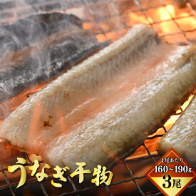 【ふるさと納税】国産 うなぎ 干物 約160～190g × 3尾 (計約480～570g) 鰻漁師が厳選！ 皮はパリッ！ 身はジューシー！ グリルで調理簡単 冷凍 【ウナギ 鰻】[m61-d001]