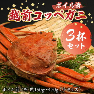 �y�ӂ邳�Ɣ[�Łz�y���ʌ���z�z�O�R�b�y�K�j�i�Z�C�R�K�j�j3�t �Z�b�g | ���� �I �Z�R�K�j �������I ���ɂ݂� ��ŊI �{�C�� �Ⓚ ���Y �u�����h ���� ���� �ґ� �{ �N���N�n �~�G���� ����