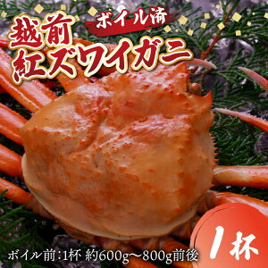 �y�ӂ邳�Ɣ[�Łz�y���ʌ���z���䌧�Y �z�O�g�Y���C�K�j × 1�t�b���� �I �Y���C�K�j �Y���C�I �g�Y���C�I ��ŊI �J�j����� ���Ƀ|�[�V���� �{�C�� �Ⓚ ���Y �u�����h ���� ���� �ґ� �{ 