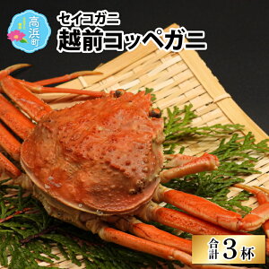 【ふるさと納税】【数量限定】越前コッペガニ(セイコガニ)3杯 セット | かに 蟹 セコガニ せいこ蟹 かにみそ ゆで蟹 ボイル 冷凍 国産 ブランド 高級 豪華 贅沢 旬 年末年始 冬季限定 送料
